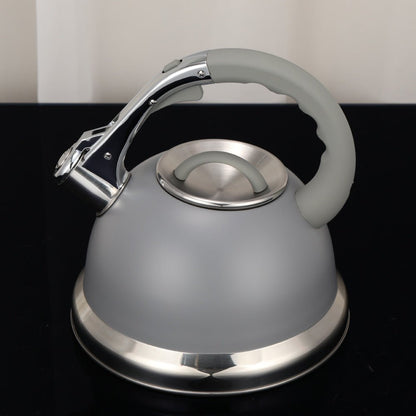 Bouilloire sifflante en acier inoxydable. - cuizinezen