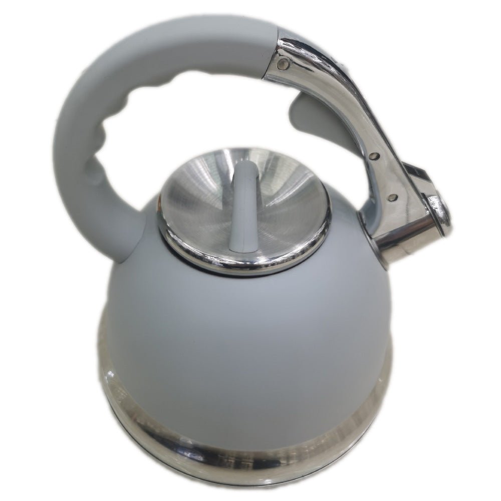 Bouilloire sifflante en acier inoxydable. - cuizinezen