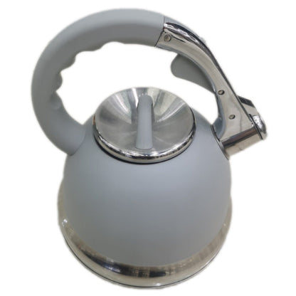 Bouilloire sifflante en acier inoxydable. - cuizinezen