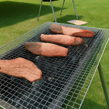 Grille pour barbecue | Inoxydable Premium